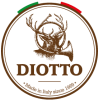 logo_diotto-1